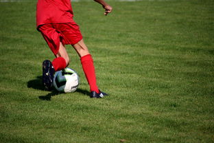 开云全站下载-意甲裁判语义辅助判罚系统提升比赛公平性研究,意甲裁判组