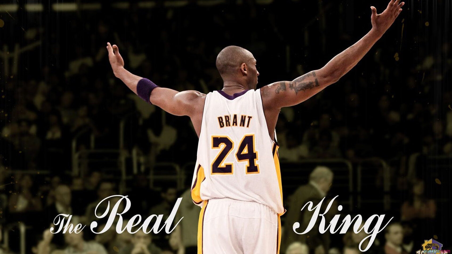 开云电竞服务-澳网：澳大利亚猛将再夺单打冠军！，澳大利亚网球比赛直播